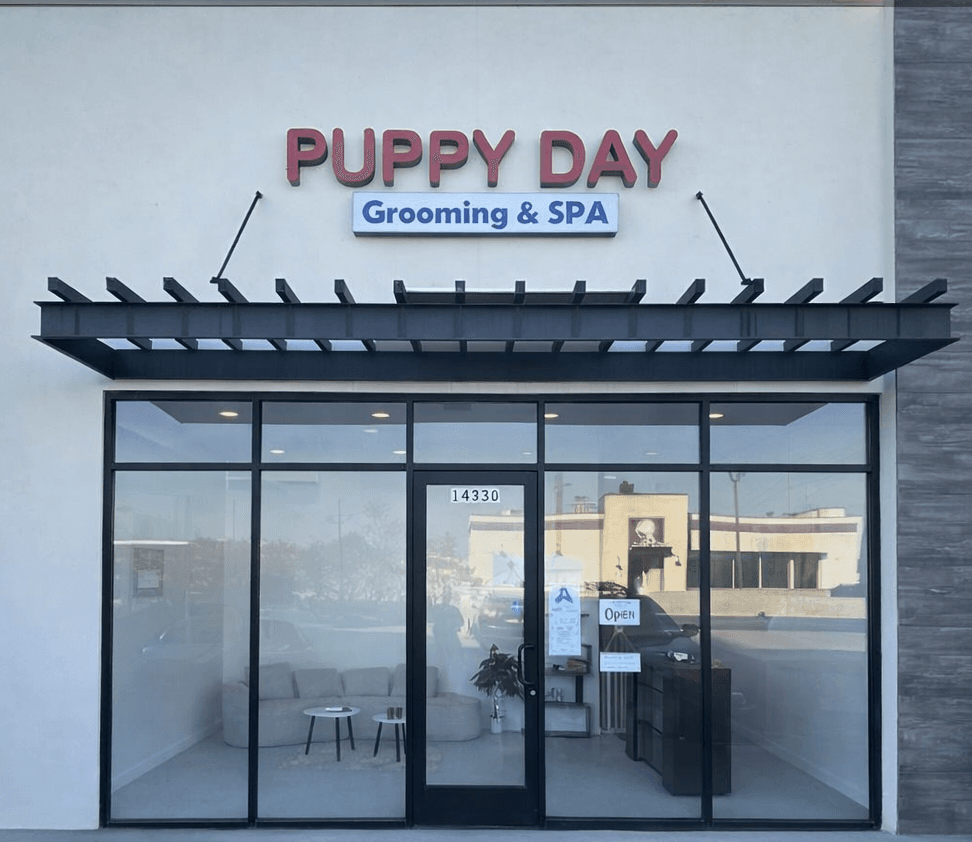 The Puppy Day salon lobby — a clean, modern waiting area with comfortable seating, plants, and the Puppy Day logo